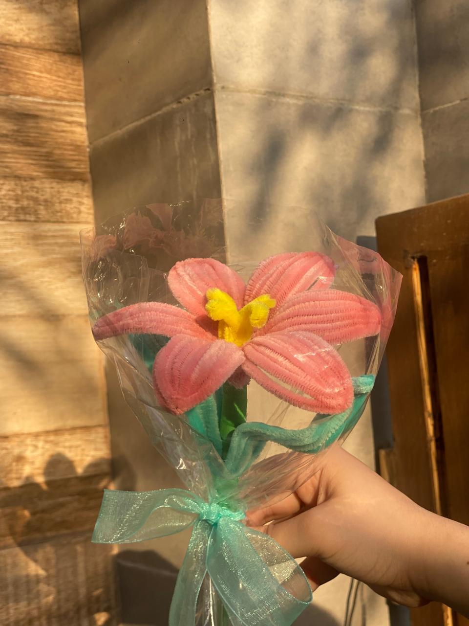 Bouquet of pink flowers with a yellow center held by a person against a neutral background